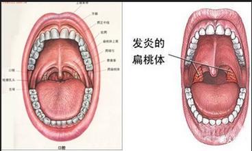 下載 (21).jpg