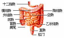 下載 (15).jpg